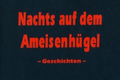 Nachts auf dem Ameisenhügel